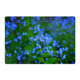 Магнитный плакат 3Х2 с принтом синие цветочки в Кировске, Полимерный материал с магнитным слоем | 6 деталей размером 9*9 см | 