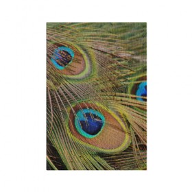 Обложка для паспорта матовая кожа с принтом перо павлина в Кировске, натуральная матовая кожа | размер 19,3 х 13,7 см; прозрачные пластиковые крепления | Тематика изображения на принте: павлин | перо | перышки | птица