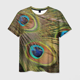 Мужская футболка 3D с принтом перо павлина в Кировске, 100% полиэфир | прямой крой, круглый вырез горловины, длина до линии бедер | Тематика изображения на принте: павлин | перо | перышки | птица