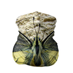 Бандана-труба 3D с принтом бабочка в Кировске, 100% полиэстер, ткань с особыми свойствами — Activecool | плотность 150‒180 г/м2; хорошо тянется, но сохраняет форму | бабочка | мотылек | насекомые