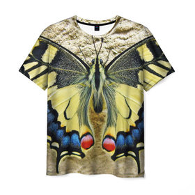 Мужская футболка 3D с принтом бабочка в Кировске, 100% полиэфир | прямой крой, круглый вырез горловины, длина до линии бедер | бабочка | мотылек | насекомые
