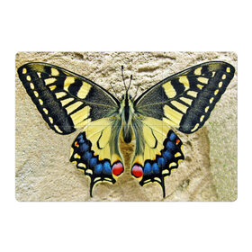 Магнитный плакат 3Х2 с принтом бабочка в Кировске, Полимерный материал с магнитным слоем | 6 деталей размером 9*9 см | бабочка | мотылек | насекомые