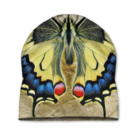 Шапка 3D с принтом бабочка в Кировске, 100% полиэстер | универсальный размер, печать по всей поверхности изделия | бабочка | мотылек | насекомые