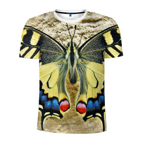 Мужская футболка 3D спортивная с принтом бабочка в Кировске, 100% полиэстер с улучшенными характеристиками | приталенный силуэт, круглая горловина, широкие плечи, сужается к линии бедра | бабочка | мотылек | насекомые