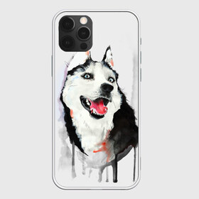 Чехол для iPhone 12 Pro Max с принтом Хаски в Кировске, Силикон |  | голова животного | кутёнок | прикольные картинки | собака | щенок