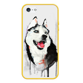 Чехол для iPhone 5/5S матовый с принтом Хаски в Кировске, Силикон | Область печати: задняя сторона чехла, без боковых панелей | голова животного | кутёнок | прикольные картинки | собака | щенок