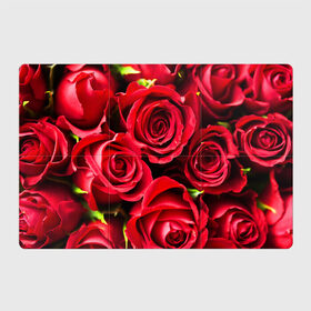 Магнитный плакат 3Х2 с принтом Розы в Кировске, Полимерный материал с магнитным слоем | 6 деталей размером 9*9 см | красный | лепестки | прикольные картинки | розы | цветочки | цветы