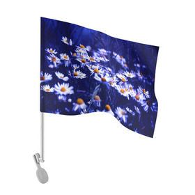 Флаг для автомобиля с принтом Ромашки в Кировске, 100% полиэстер | Размер: 30*21 см | лепестки | прикольные картинки | ромашки | цветочки | цветы