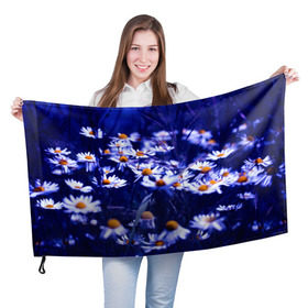Флаг 3D с принтом Ромашки в Кировске, 100% полиэстер | плотность ткани — 95 г/м2, размер — 67 х 109 см. Принт наносится с одной стороны | лепестки | прикольные картинки | ромашки | цветочки | цветы