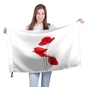 Флаг 3D с принтом Маки в Кировске, 100% полиэстер | плотность ткани — 95 г/м2, размер — 67 х 109 см. Принт наносится с одной стороны | field | flowers | poppies | poppy | red | wild | красные | мак | маки | поле | полевые | цветы