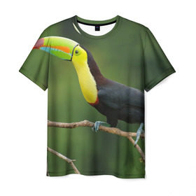 Мужская футболка 3D с принтом Тукан в Кировске, 100% полиэфир | прямой крой, круглый вырез горловины, длина до линии бедер | Тематика изображения на принте: животные | тукан