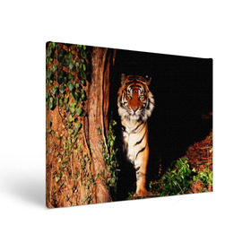 Холст прямоугольный с принтом Тигр в Кировске, 100% ПВХ |  | Тематика изображения на принте: дикая кошка | лес | природа | тигр | хищник