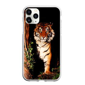 Чехол для iPhone 11 Pro матовый с принтом Тигр в Кировске, Силикон |  | дикая кошка | лес | природа | тигр | хищник