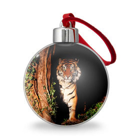 Ёлочный шар с принтом Тигр в Кировске, Пластик | Диаметр: 77 мм | дикая кошка | лес | природа | тигр | хищник