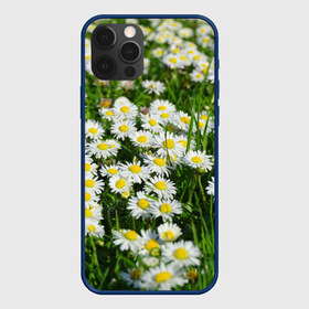 Чехол для iPhone 12 Pro Max с принтом Ромашки 2 в Кировске, Силикон |  | лепестки | прикольные картинки | ромашки | цветочки | цветы
