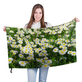 Флаг 3D с принтом Ромашки 2 в Кировске, 100% полиэстер | плотность ткани — 95 г/м2, размер — 67 х 109 см. Принт наносится с одной стороны | лепестки | прикольные картинки | ромашки | цветочки | цветы