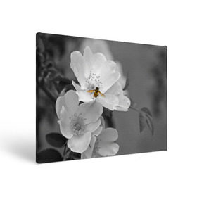 Холст прямоугольный с принтом Пчела на цветах в Кировске, 100% ПВХ |  | лепестки | цветы
