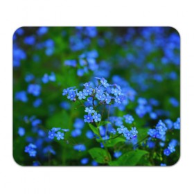 Коврик прямоугольный с принтом Синие цветы в Кировске, натуральный каучук | размер 230 х 185 мм; запечатка лицевой стороны | лепестки | прикольные картинки | цветочки | цветы