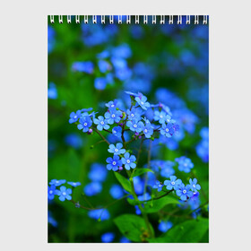 Скетчбук с принтом Синие цветы в Кировске, 100% бумага
 | 48 листов, плотность листов — 100 г/м2, плотность картонной обложки — 250 г/м2. Листы скреплены сверху удобной пружинной спиралью | лепестки | прикольные картинки | цветочки | цветы