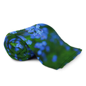 Плед 3D с принтом Синие цветы в Кировске, 100% полиэстер | закругленные углы, все края обработаны. Ткань не мнется и не растягивается | лепестки | прикольные картинки | цветочки | цветы