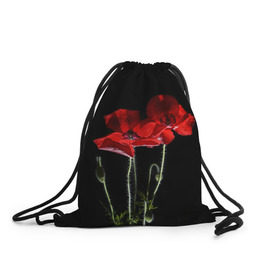 Рюкзак-мешок 3D с принтом Маки в Кировске, 100% полиэстер | плотность ткани — 200 г/м2, размер — 35 х 45 см; лямки — толстые шнурки, застежка на шнуровке, без карманов и подкладки | background | black | flowers | poppies | poppy | red | wild | красные | мак | маки | полевые | фон | цветы | черный