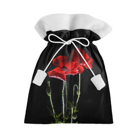 Подарочный 3D мешок с принтом Маки в Кировске, 100% полиэстер | Размер: 29*39 см | background | black | flowers | poppies | poppy | red | wild | красные | мак | маки | полевые | фон | цветы | черный