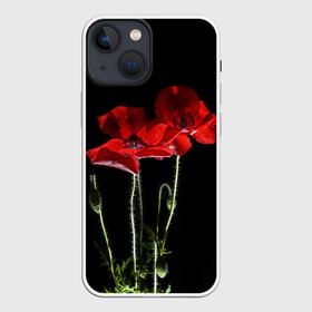Чехол для iPhone 13 mini с принтом Маки в Кировске,  |  | background | black | flowers | poppies | poppy | red | wild | красные | мак | маки | полевые | фон | цветы | черный
