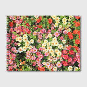 Альбом для рисования с принтом Весеннее настроение в Кировске, 100% бумага
 | матовая бумага, плотность 200 мг. | Тематика изображения на принте: аромат | букет | вазон | великолепие | краски | красота | куст | луг | полевые цветы | полянка | природа | растения | розы | ромашки | тюльпаны | украшение | фауна | цветник | цветок | цветочек | цветы