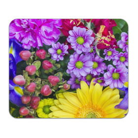 Коврик прямоугольный с принтом Роскошные цветы в Кировске, натуральный каучук | размер 230 х 185 мм; запечатка лицевой стороны | аромат | астры | букет | вазон | великолепие | гвоздики | гиацинт | гортензия | калла | краски | красота | куст | лилия | орхидея | пион | подсолнух | полевые цветы | природа | растения | розы | ромашки