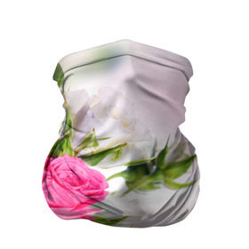 Бандана-труба 3D с принтом Алые розы в Кировске, 100% полиэстер, ткань с особыми свойствами — Activecool | плотность 150‒180 г/м2; хорошо тянется, но сохраняет форму | аромат | букет | вазон | великолепие | краски | красота | куст | нежность | природа | растения | розы | украшение | фауна | цветник | цветы