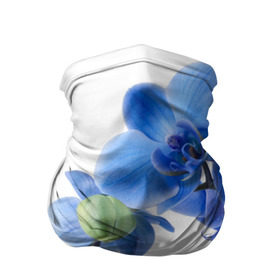 Бандана-труба 3D с принтом Веточка орхидеи в Кировске, 100% полиэстер, ткань с особыми свойствами — Activecool | плотность 150‒180 г/м2; хорошо тянется, но сохраняет форму | ветка | красота | нежность | орхидея | природа | растение | фауна | цветок | цветы
