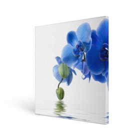 Холст квадратный с принтом Веточка орхидеи в Кировске, 100% ПВХ |  | Тематика изображения на принте: ветка | красота | нежность | орхидея | природа | растение | фауна | цветок | цветы