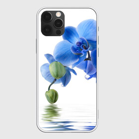 Чехол для iPhone 12 Pro Max с принтом Веточка орхидеи в Кировске, Силикон |  | ветка | красота | нежность | орхидея | природа | растение | фауна | цветок | цветы