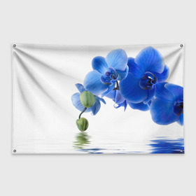 Флаг-баннер с принтом Веточка орхидеи в Кировске, 100% полиэстер | размер 67 х 109 см, плотность ткани — 95 г/м2; по краям флага есть четыре люверса для крепления | ветка | красота | нежность | орхидея | природа | растение | фауна | цветок | цветы