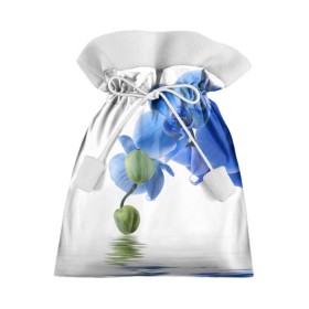 Подарочный 3D мешок с принтом Веточка орхидеи в Кировске, 100% полиэстер | Размер: 29*39 см | ветка | красота | нежность | орхидея | природа | растение | фауна | цветок | цветы