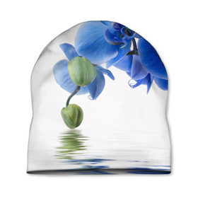Шапка 3D с принтом Веточка орхидеи в Кировске, 100% полиэстер | универсальный размер, печать по всей поверхности изделия | Тематика изображения на принте: ветка | красота | нежность | орхидея | природа | растение | фауна | цветок | цветы