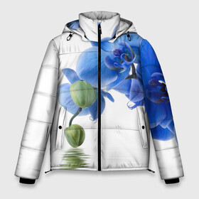 Мужская зимняя куртка 3D с принтом Веточка орхидеи в Кировске, верх — 100% полиэстер; подкладка — 100% полиэстер; утеплитель — 100% полиэстер | длина ниже бедра, свободный силуэт Оверсайз. Есть воротник-стойка, отстегивающийся капюшон и ветрозащитная планка. 

Боковые карманы с листочкой на кнопках и внутренний карман на молнии. | ветка | красота | нежность | орхидея | природа | растение | фауна | цветок | цветы