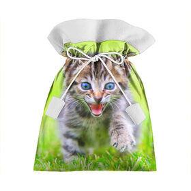 Подарочный 3D мешок с принтом Кися в Кировске, 100% полиэстер | Размер: 29*39 см | Тематика изображения на принте: домашние | животные | кот | котёнок | кошка | милый