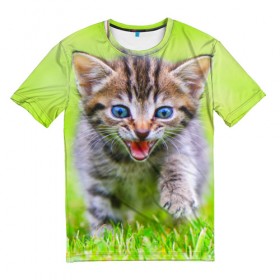 Мужская футболка 3D с принтом Кися в Кировске, 100% полиэфир | прямой крой, круглый вырез горловины, длина до линии бедер | домашние | животные | кот | котёнок | кошка | милый