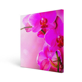 Холст квадратный с принтом Орхидея в Кировске, 100% ПВХ |  | лепесток | новая | орхидея | природа | цветок | яркая