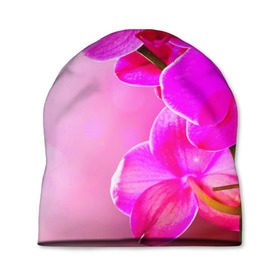 Шапка 3D с принтом Орхидея в Кировске, 100% полиэстер | универсальный размер, печать по всей поверхности изделия | лепесток | новая | орхидея | природа | цветок | яркая
