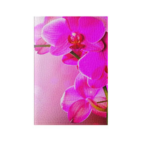 Обложка для паспорта матовая кожа с принтом Орхидея в Кировске, натуральная матовая кожа | размер 19,3 х 13,7 см; прозрачные пластиковые крепления | лепесток | новая | орхидея | природа | цветок | яркая