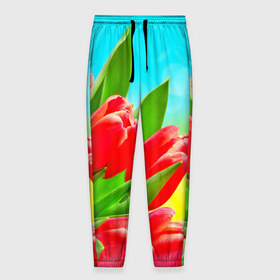 Мужские брюки 3D с принтом Тюльпаны в Кировске, 100% полиэстер | манжеты по низу, эластичный пояс регулируется шнурком, по бокам два кармана без застежек, внутренняя часть кармана из мелкой сетки | краснык | природа | тюльпан | цветок