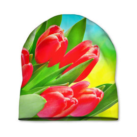 Шапка 3D с принтом Тюльпаны в Кировске, 100% полиэстер | универсальный размер, печать по всей поверхности изделия | краснык | природа | тюльпан | цветок
