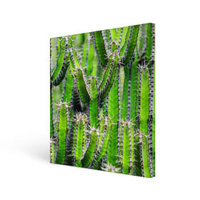 Холст квадратный с принтом Кактус в Кировске, 100% ПВХ |  | кактус | колючки | прикольные картинки | природа | цветочки | цветы