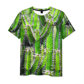 Мужская футболка 3D с принтом Кактус в Кировске, 100% полиэфир | прямой крой, круглый вырез горловины, длина до линии бедер | кактус | колючки | прикольные картинки | природа | цветочки | цветы
