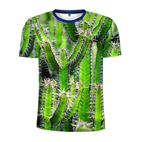 Мужская футболка 3D спортивная с принтом Кактус в Кировске, 100% полиэстер с улучшенными характеристиками | приталенный силуэт, круглая горловина, широкие плечи, сужается к линии бедра | кактус | колючки | прикольные картинки | природа | цветочки | цветы
