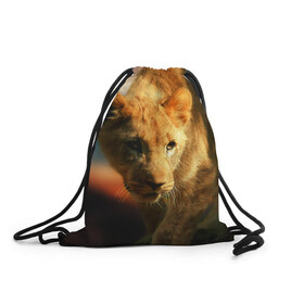 Рюкзак-мешок 3D с принтом Львица в Кировске, 100% полиэстер | плотность ткани — 200 г/м2, размер — 35 х 45 см; лямки — толстые шнурки, застежка на шнуровке, без карманов и подкладки | Тематика изображения на принте: lion | голова животного | дикая кошка | кот | лев | цвет