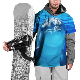 Накидка на куртку 3D с принтом Дельфин в Кировске, 100% полиэстер |  | вода | дельфин | море | отдых | отпуск | подводный мир | туризм