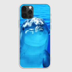 Чехол для iPhone 12 Pro Max с принтом Дельфин в Кировске, Силикон |  | вода | дельфин | море | отдых | отпуск | подводный мир | туризм